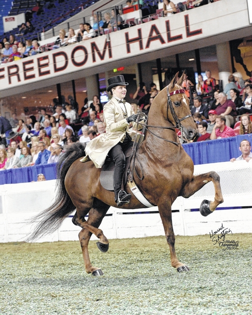 NES teacher places at World Championship Horse Show Newberry Observer