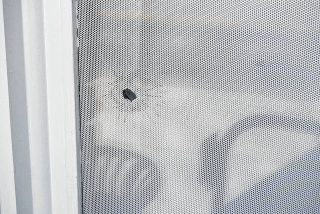 126677319_web1_DSC_0333
Bullet holes are seen in the window of the building at 1510 Main Street, following the shooting incident Saturday.