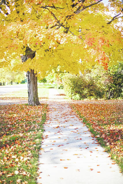 129209770_web1_sidewalk-554174--1-
A few sidewalks will soon be improved in Whitmire thanks to the South Carolina Community Development Block Grant.
Stock photo