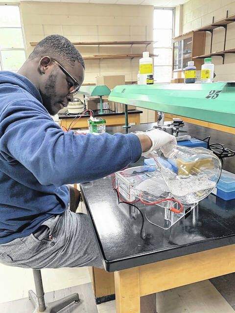 Daniel Oluwarotimi at work in the lab.