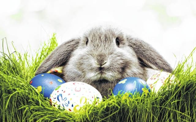 130499660_web1_bunny
Today, the Easter Bunny is not only the symbol of the holiday, he is the center point to a multi-billion dollar industry.
Courtesy photos