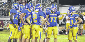 
			
				                                 Greg Hollis | ghollis@newberryobserver.com

			
		