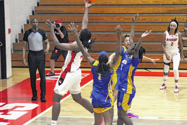 <p>Greg Hollis | ghollis@newberryobserver.com</p>