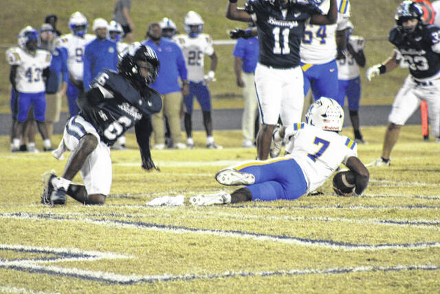 <p>Greg Hollis | ghollis@newberryobserver.com</p>