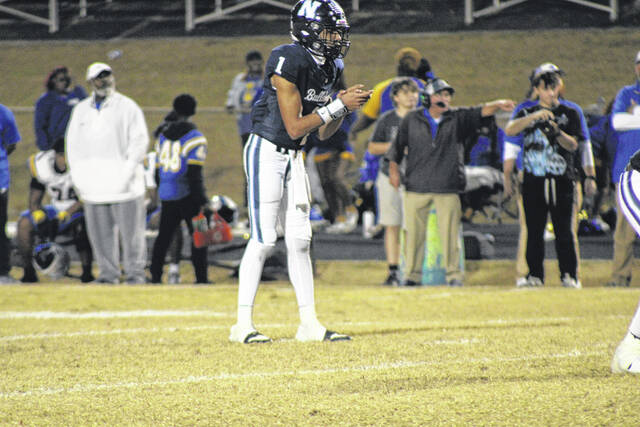 <p>Greg Hollis | ghollis@newberryobserver.com</p>