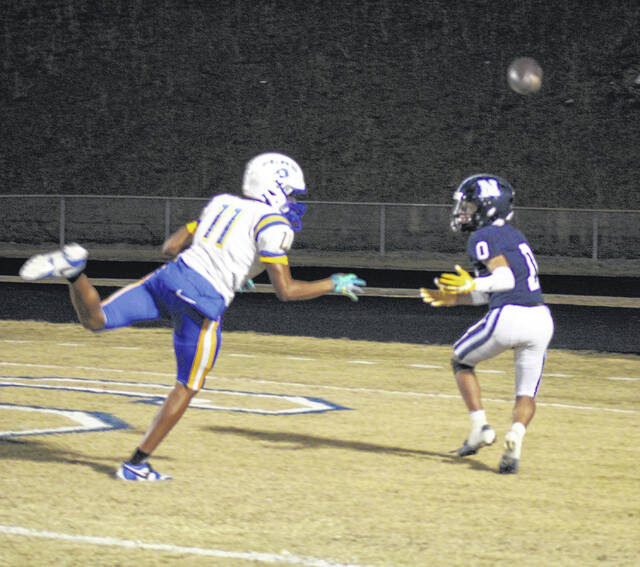 <p>Greg Hollis | ghollis@newberryobserver.com</p>