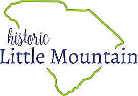 132155448_web1_Little-Mountain-Logo