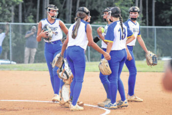 Lady Wolverines late game magic wasn’t enough in the championship series