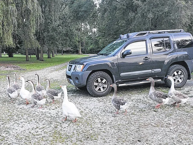 Im surrounded.
Kasie Strickland | Champion Media