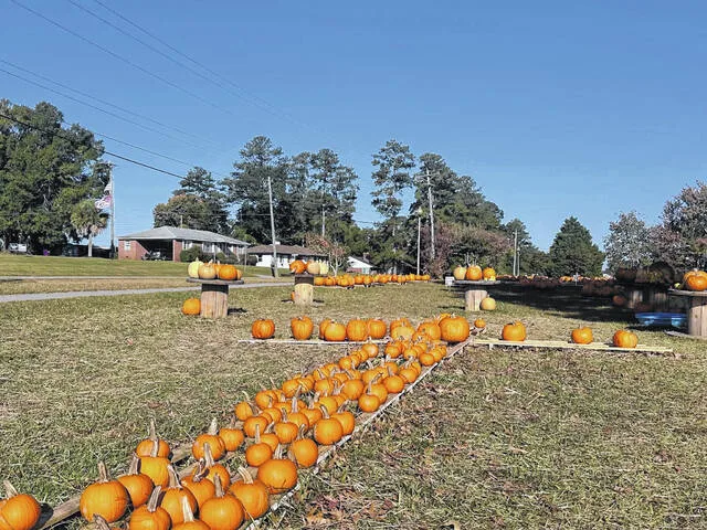 Have some Halloween fun in Prosperity